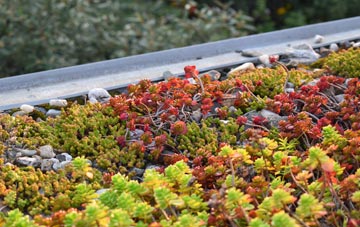 the cost of Tarrant Hinton green roof installation