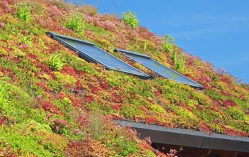 Tarrant Hinton living roof systems