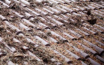 Tarrant Hinton roof cleaning companies