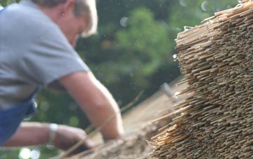 professional Tarrant Hinton thatchers