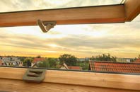 rated Tarrant Hinton roof window companies